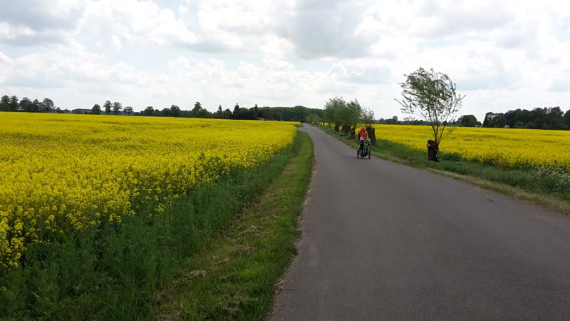 20150515_132538