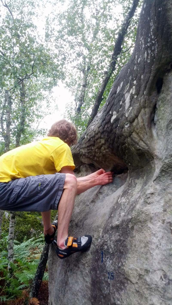 18_fontainebleau