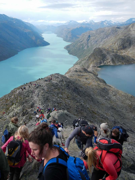 auch-andere-moegen-den-trail