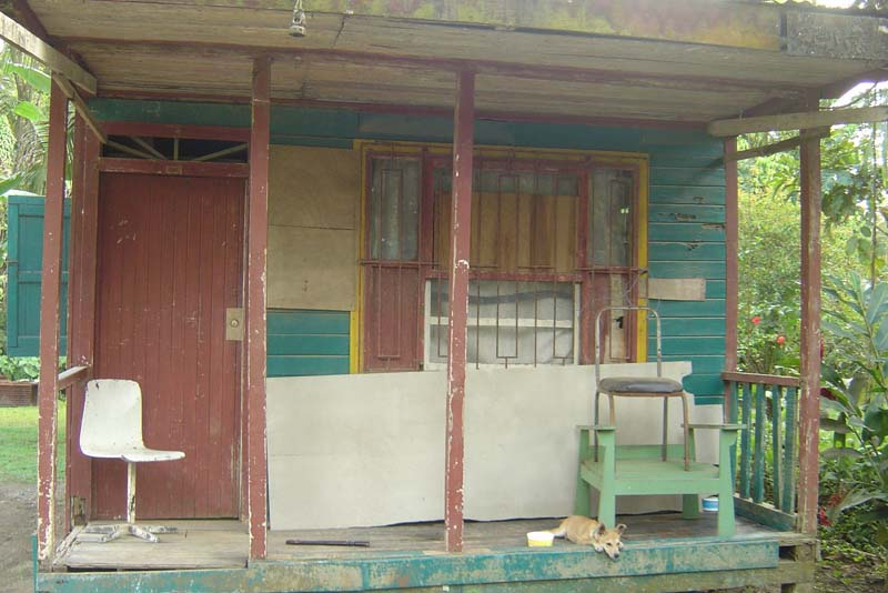 dsc05493
