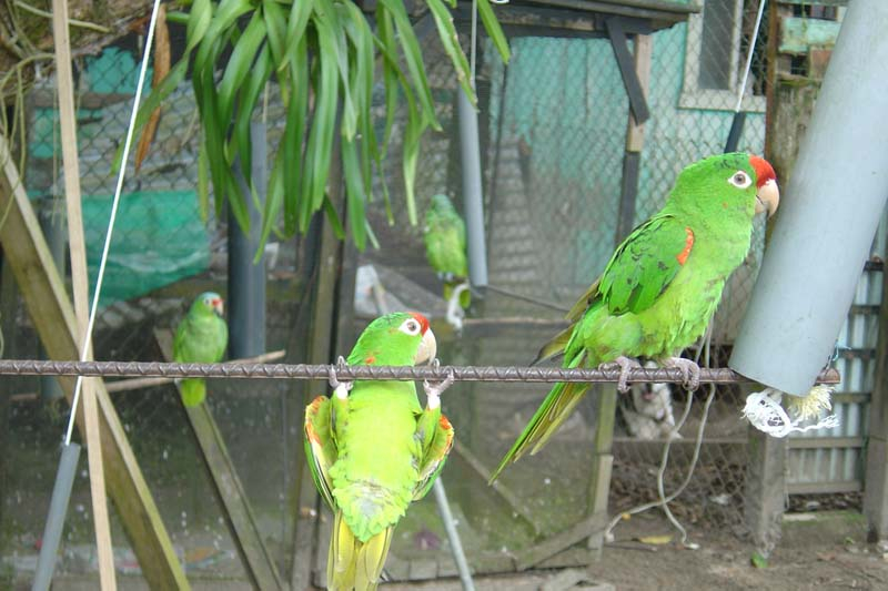 dsc05538