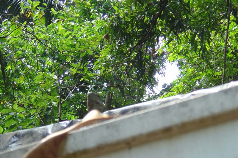 dsc05728