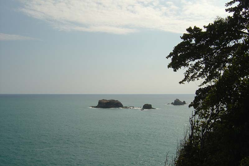dsc05774