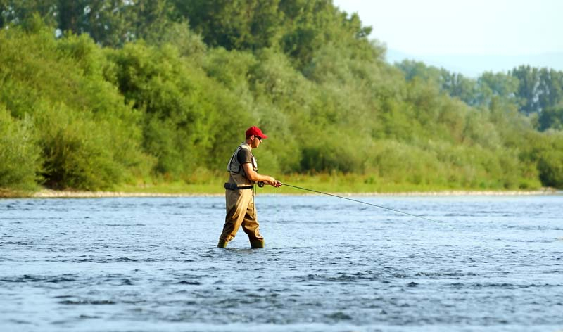 Fisherman