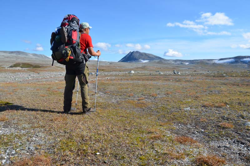 camp4-spt-10