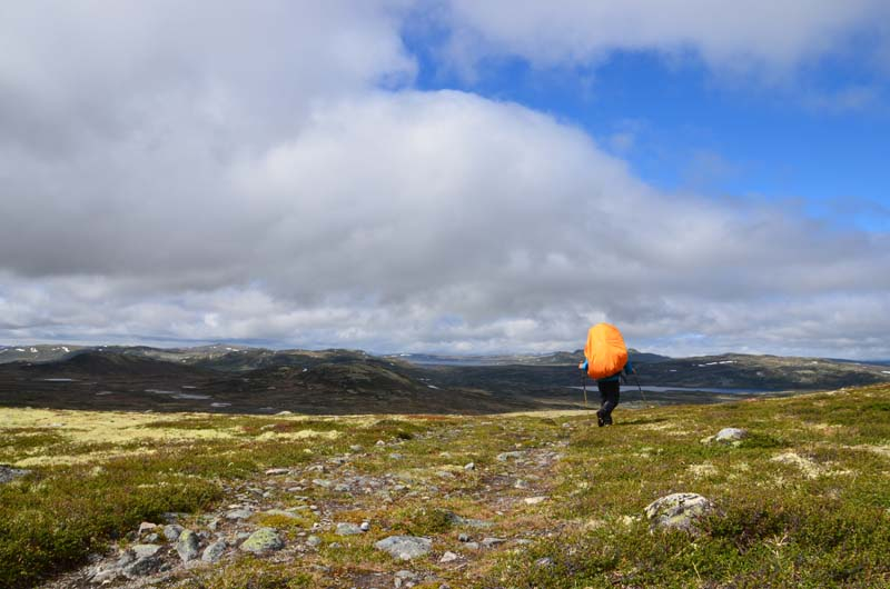 camp4-spt-35
