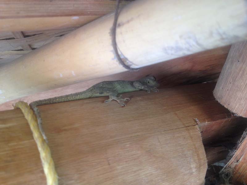 img_1475
