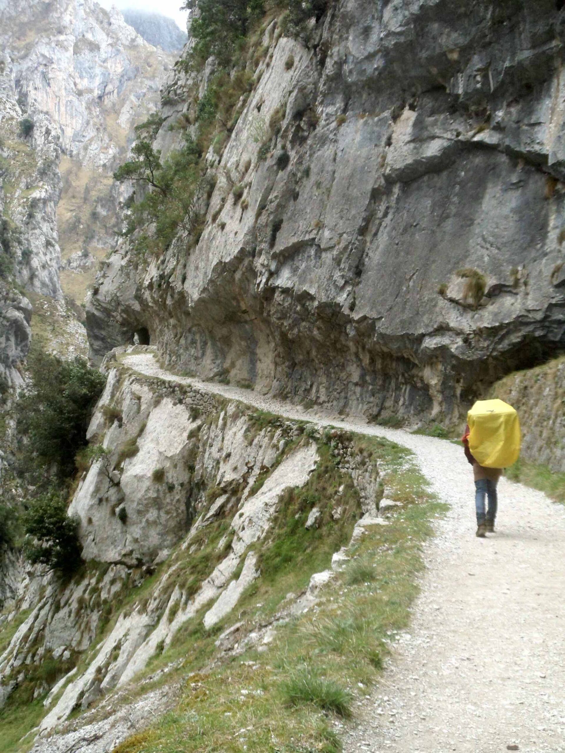 14-caresschlucht