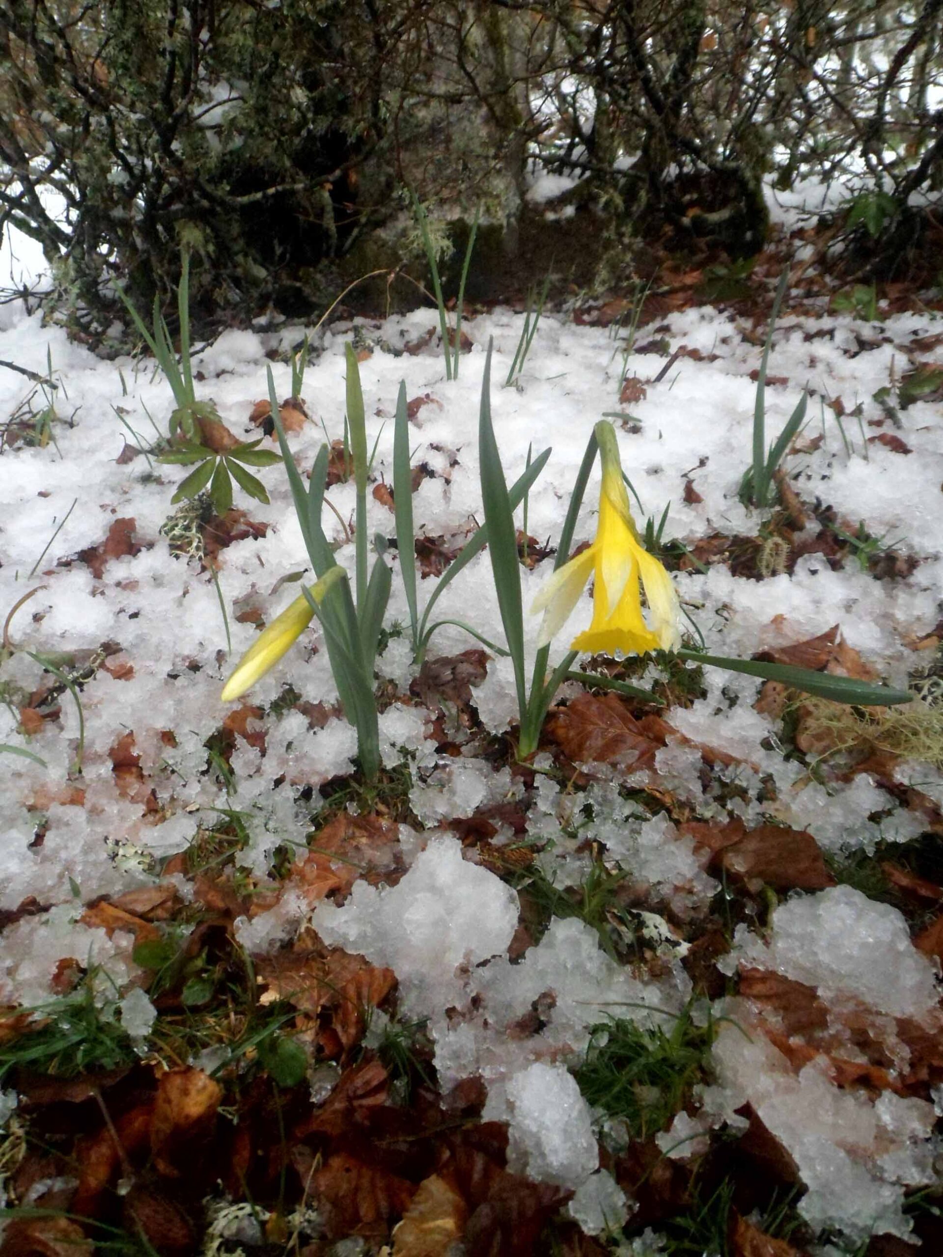 21-doch-ostern