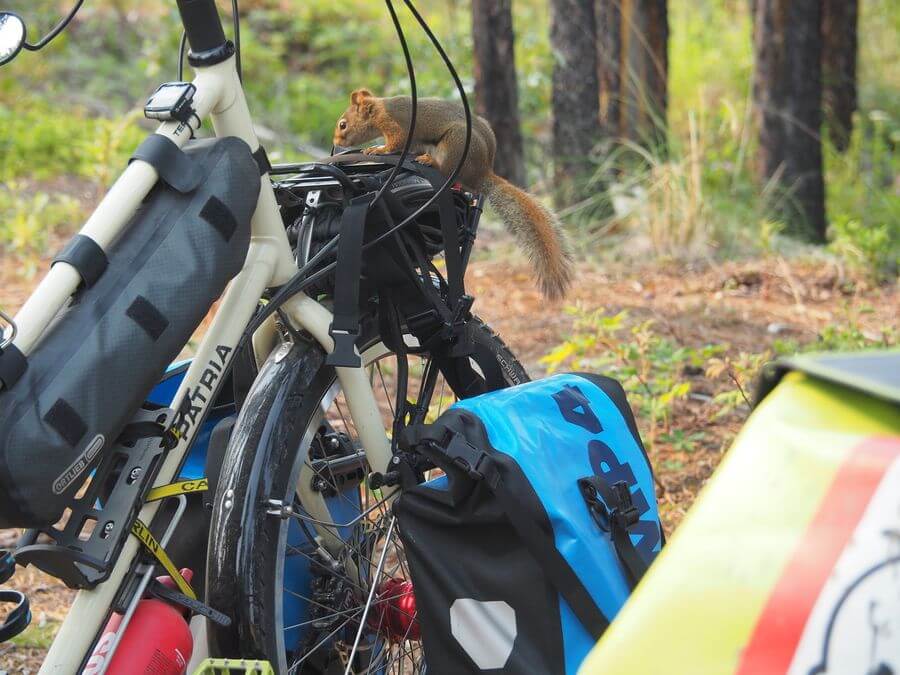 camp4_fahrrad_familie_teil2_panamericana_08