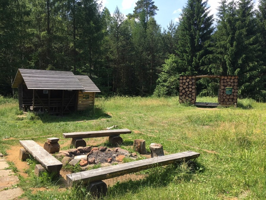 Taubenteich-Biwak mit Feuerstelle. Bildquelle: Sachsenforst