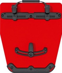 ql21_frontal