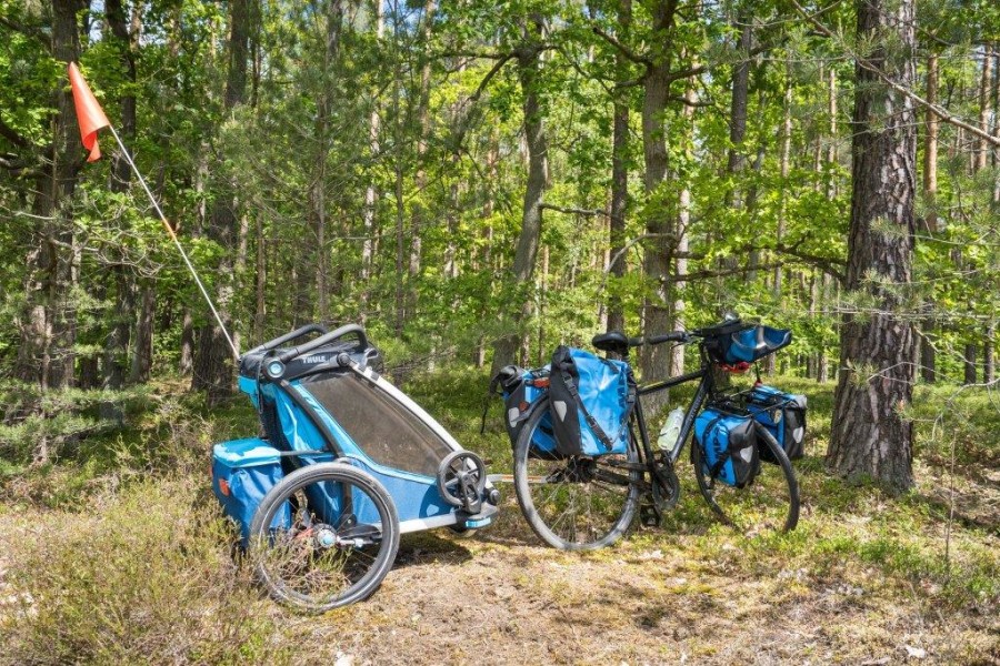 Mit dem Fahrrad durch brandenburgische Wälder