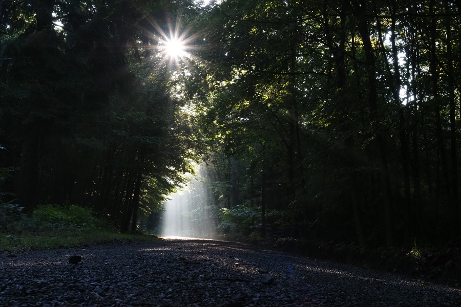 licht
