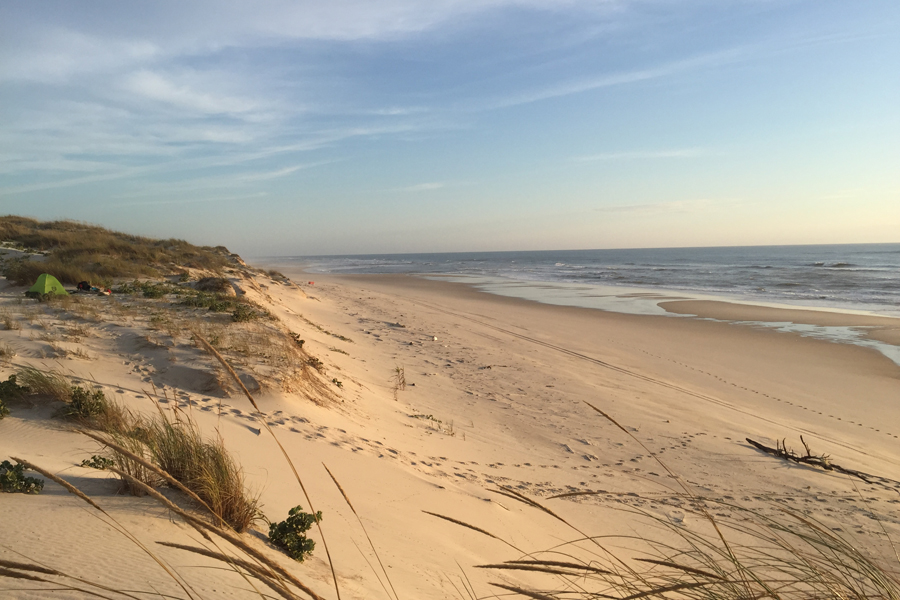 strand