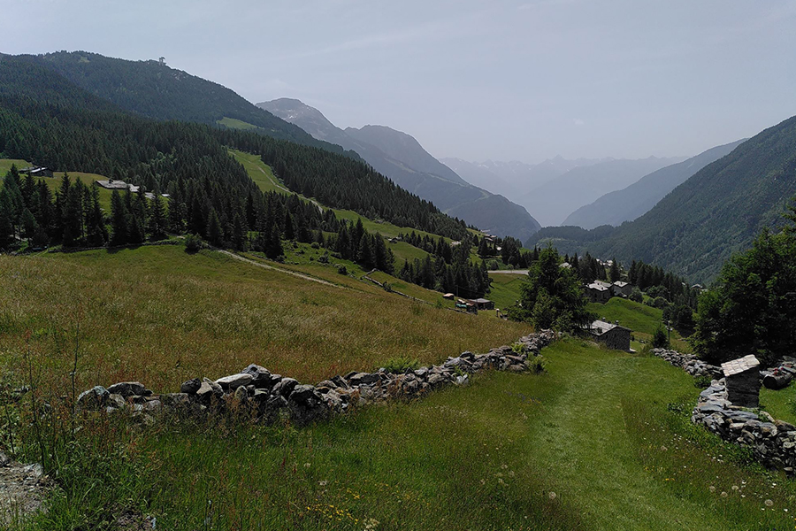 Sanfte Almwiesen nach San Guiseppe ©SuHerrmann