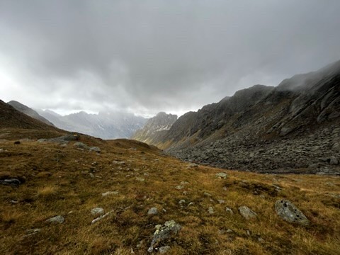 tag11