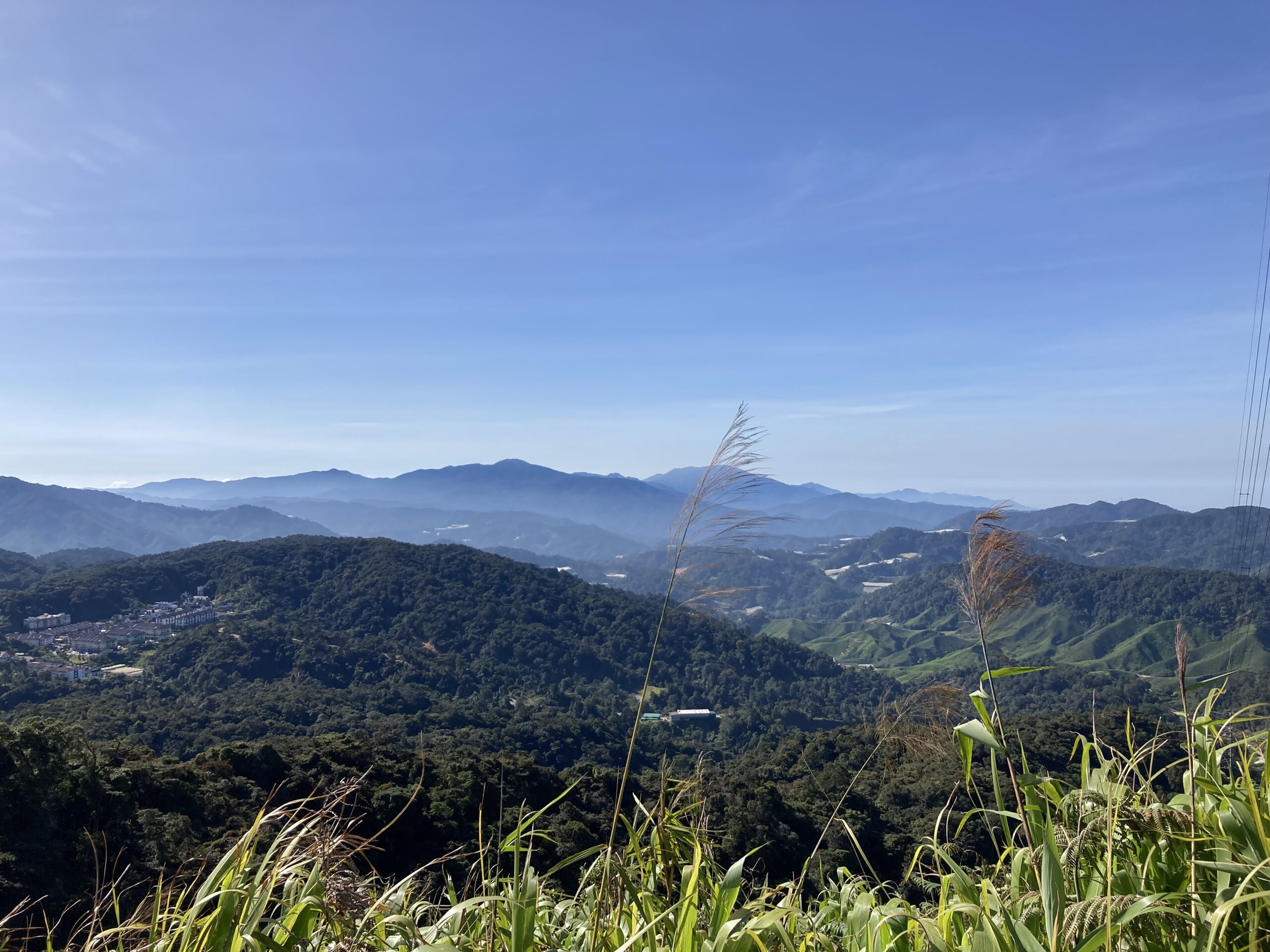 cameron highlands