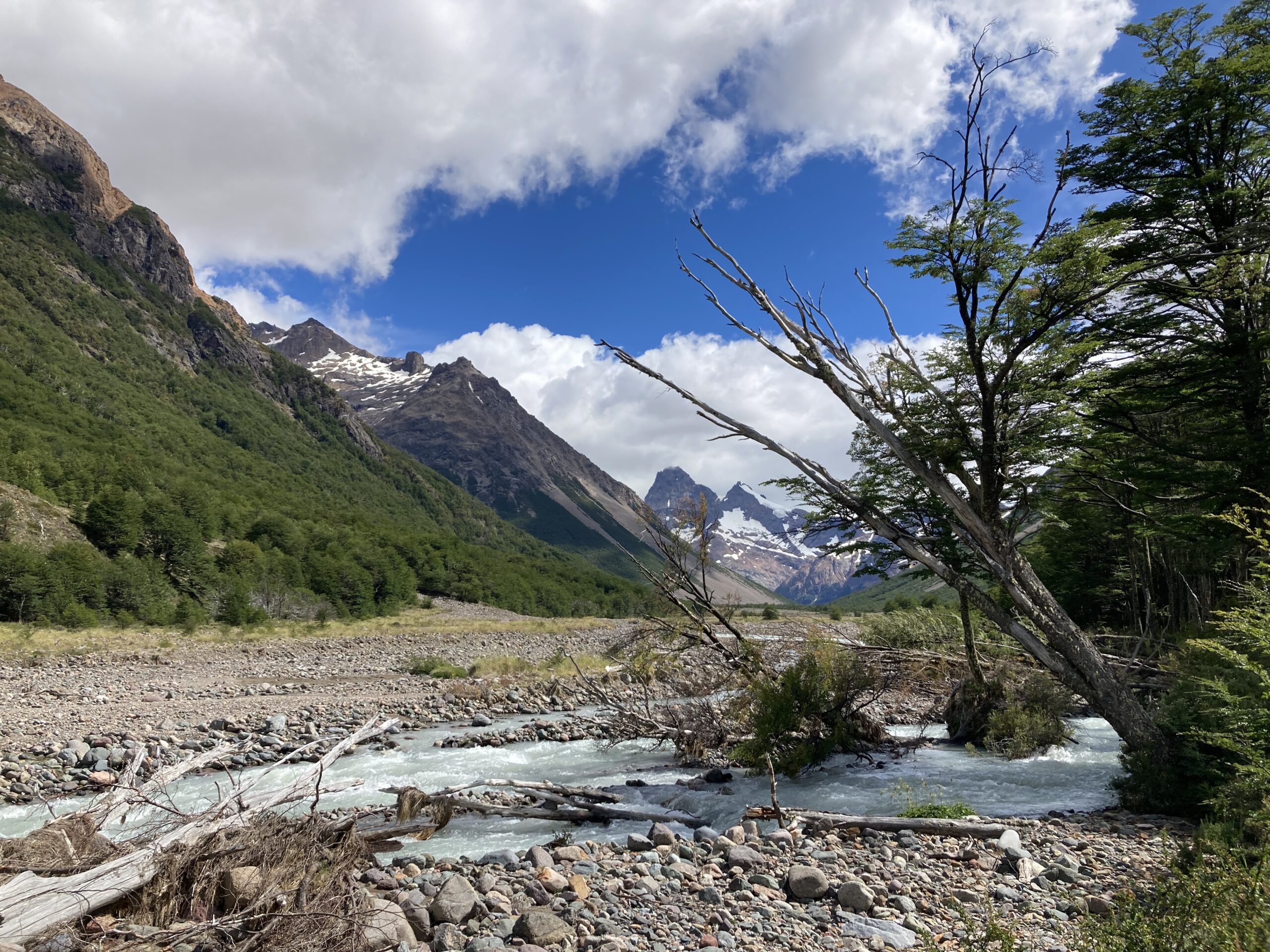 patagonia np (2)