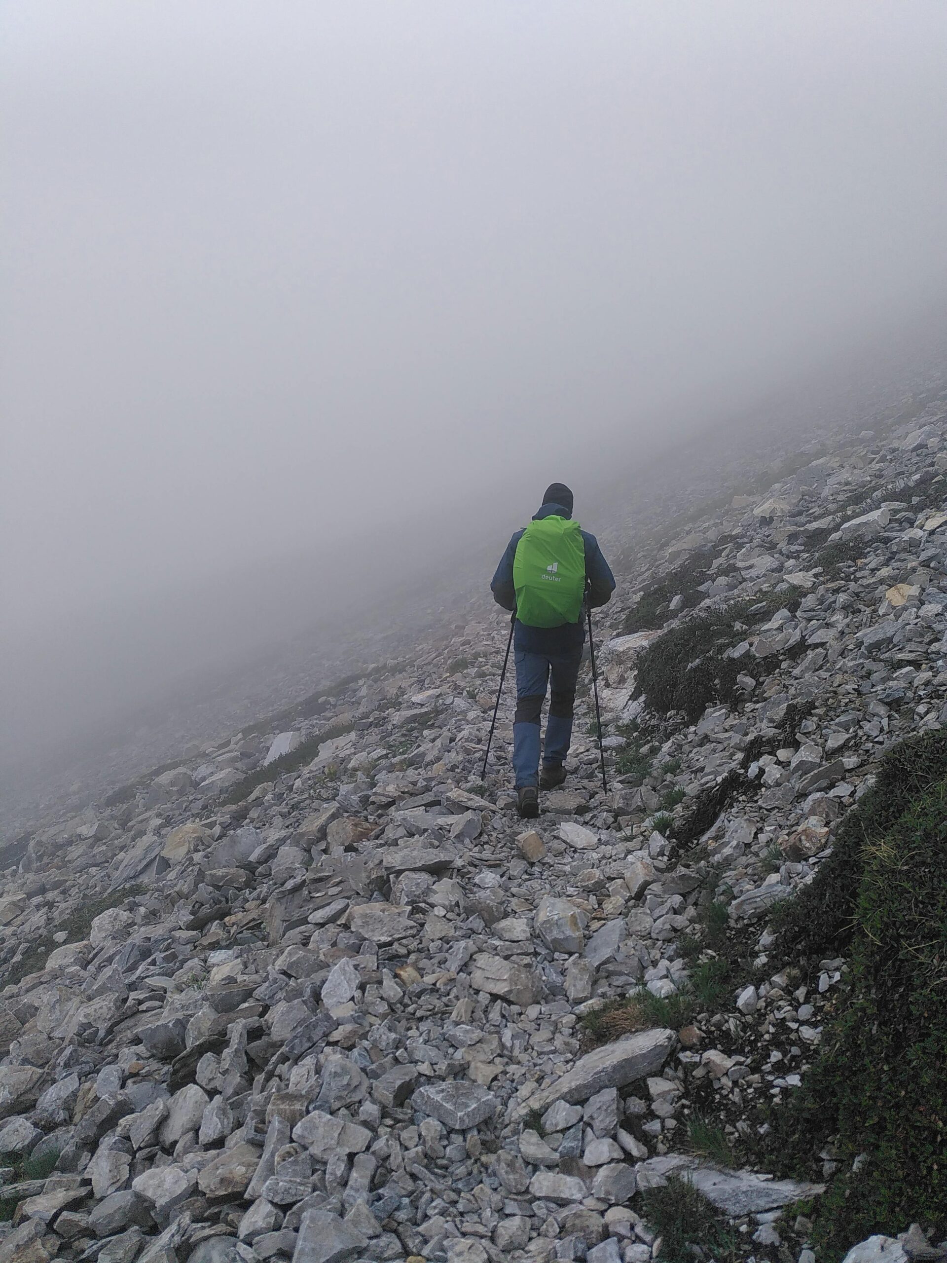 comp5_100_durch den Nebel-min