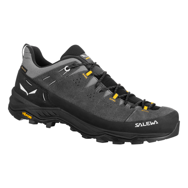 Alp Trainer 2 GTX Onyx/Black